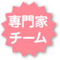 専門家チーム